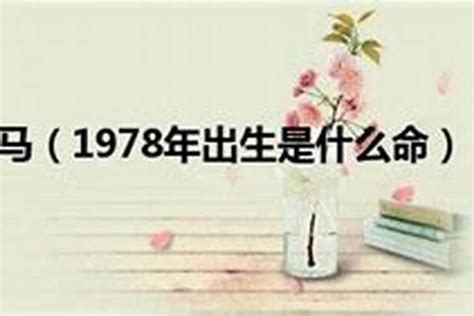 1978年出生是什么命 命好吗